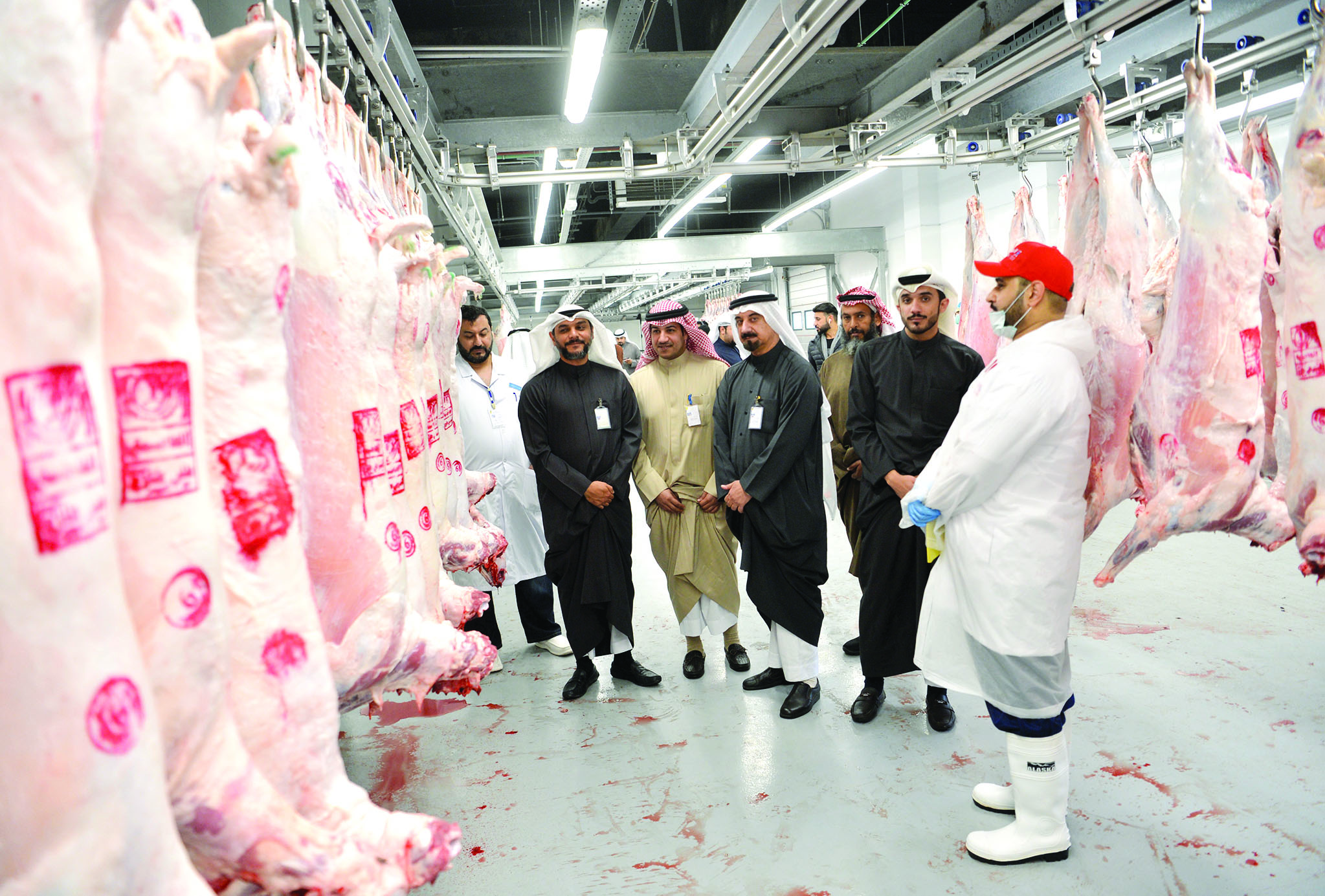 u0627u0644u0643u0646u062fu0631u064a u0648u0648u0641u062f u00abu0627u0644u063au0630u0627u0621u00bb u0641u064a u0645u0633u0644u062e u0627u0644u0639u0627u0635u0645u0629                       t         (u062au0635u0648u064au0631 u0646u0627u064au0641 u0627u0644u0639u0642u0644u0629)