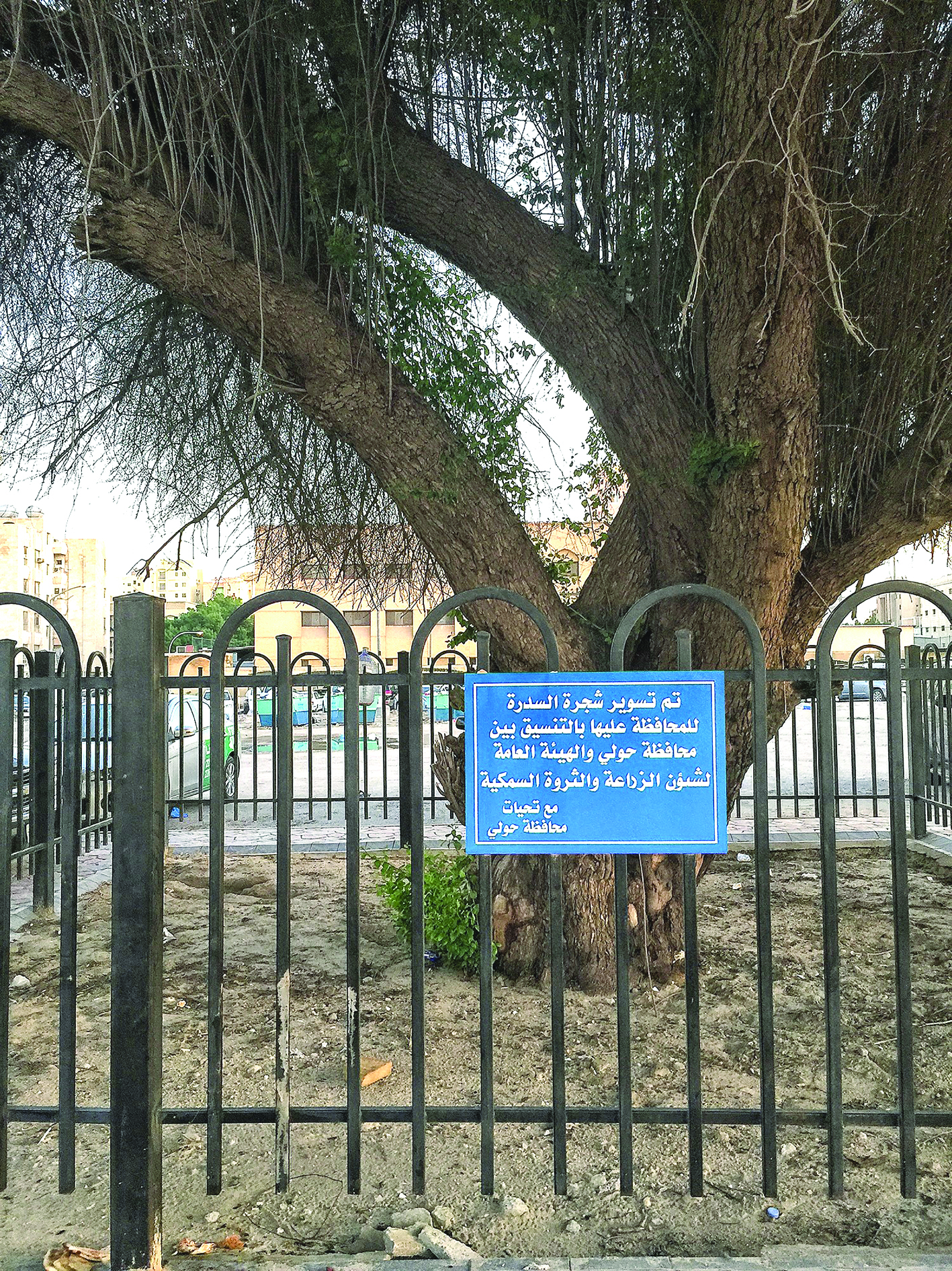  u0633u064au0627u062c u0644u0644u062du0641u0627u0638 u0639u0644u0649 u0627u0644u0633u062fu0631u0629 