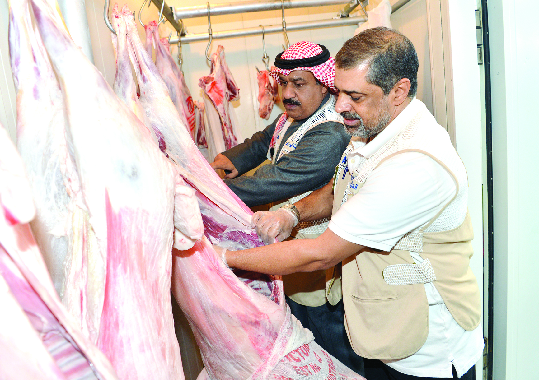 المفتش عبدالرحمن الضبيبي يفحص اللحوم ظاهرياً