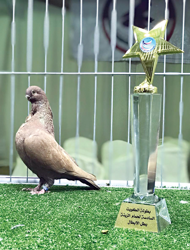 أفريكان لصاحبها محمد الحجي الفائزة بالمركز الأول