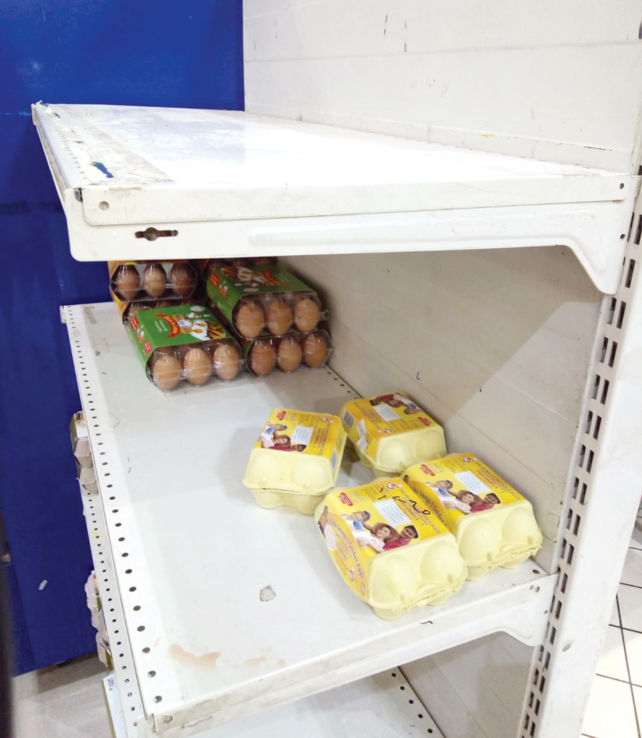 u0627u0644u0628u064au0636 u0645u0641u0642u0648u062f u0639u0644u0649 u0623u0631u0641u0641 u0628u0639u0636 u0627u0644u062cu0645u0639u064au0627u062a u0627u0644u062au0639u0627u0648u0646u064au0629 t(u062au0635u0648u064au0631 u0623u0633u0639u062f u0639u0628u062fu0627u0644u0644u0647)