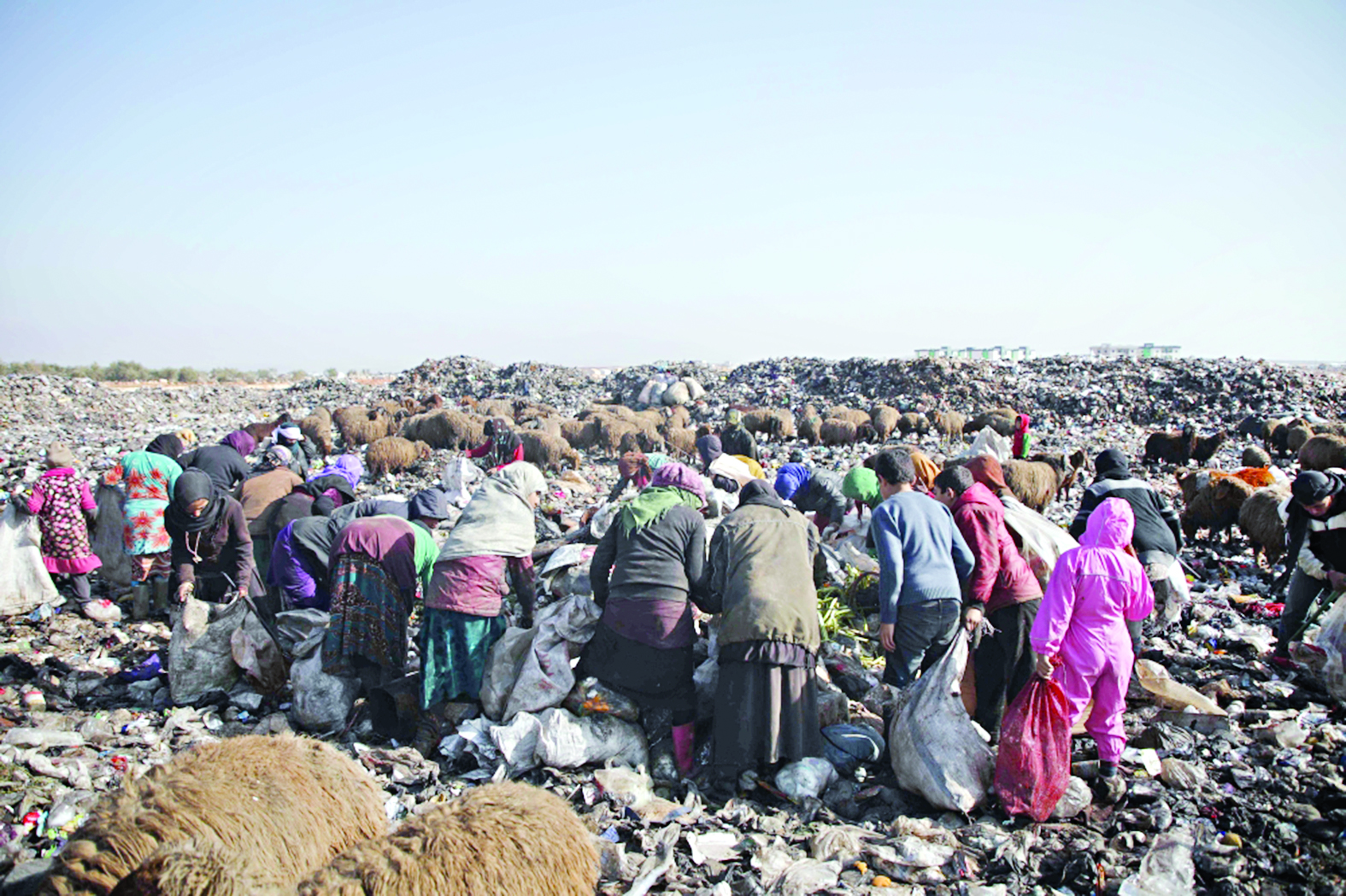 u0646u0633u0627u0621 u0648u0623u0637u0641u0627u0644 u064au0641u062au0634u0648u0646 u0628u064au0646 u0627u0644u0646u0641u0627u064au0627u062a u0641u064a u0643u0641u0631 u0644u0648u0633u064au0646t (u0623 u0641 u0628)