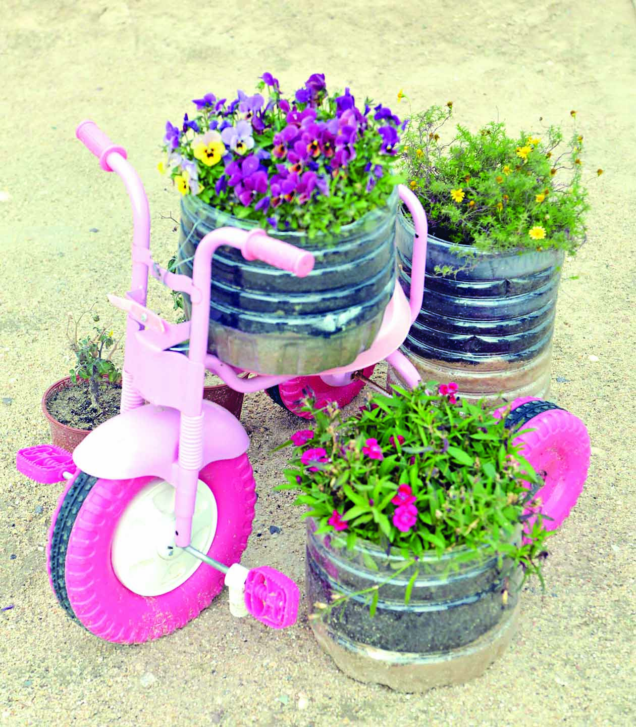 دراجة أطفال تحولت إلى حاملة أزهار
