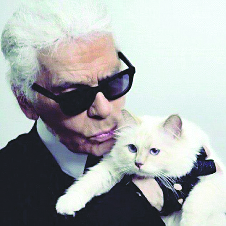  u0644u0627u063au0631u0641u064au0644u062f u0648u0642u0637u062au0647