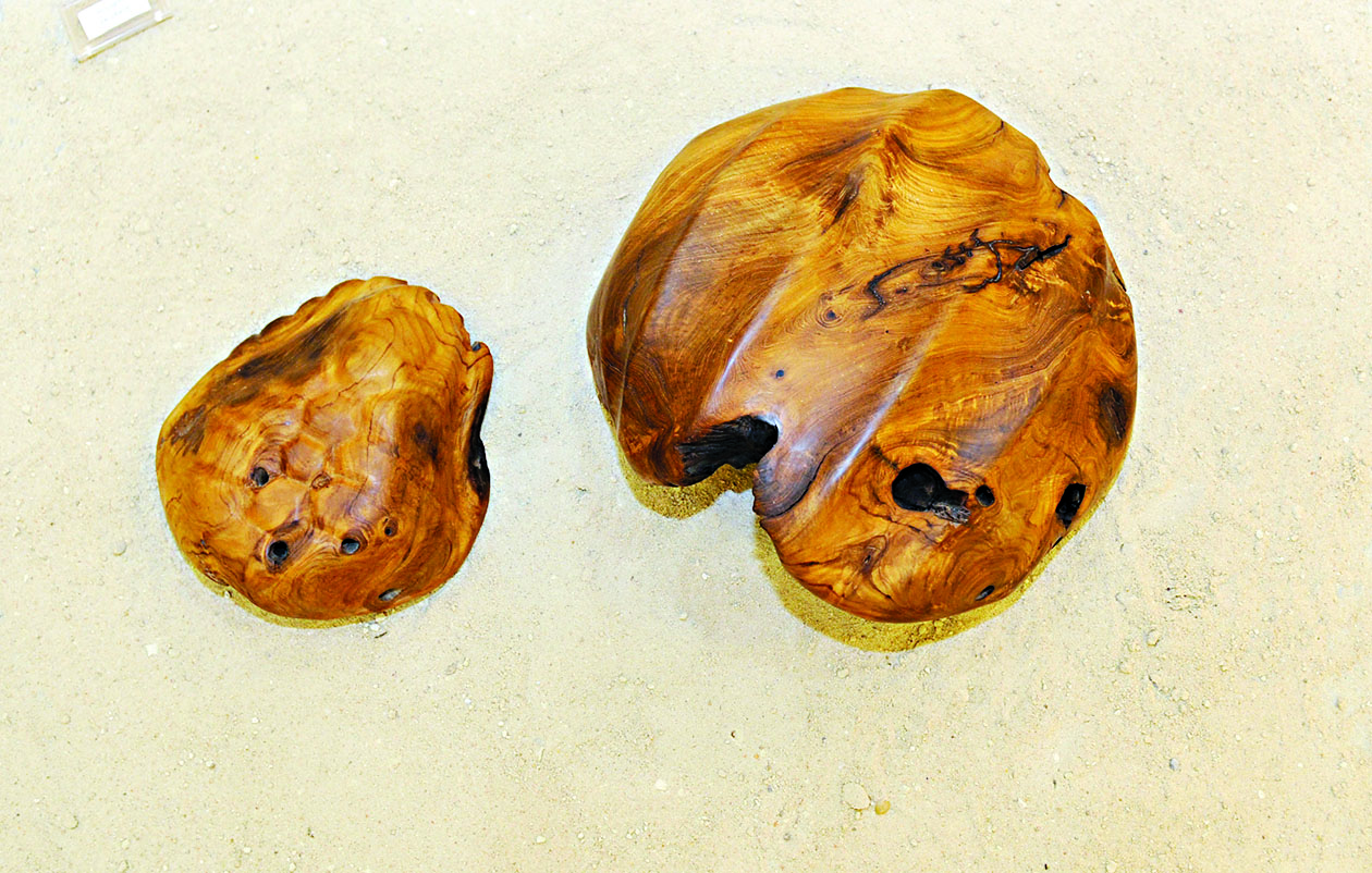 u0631u0624u0649 u0641u0646u064au0629