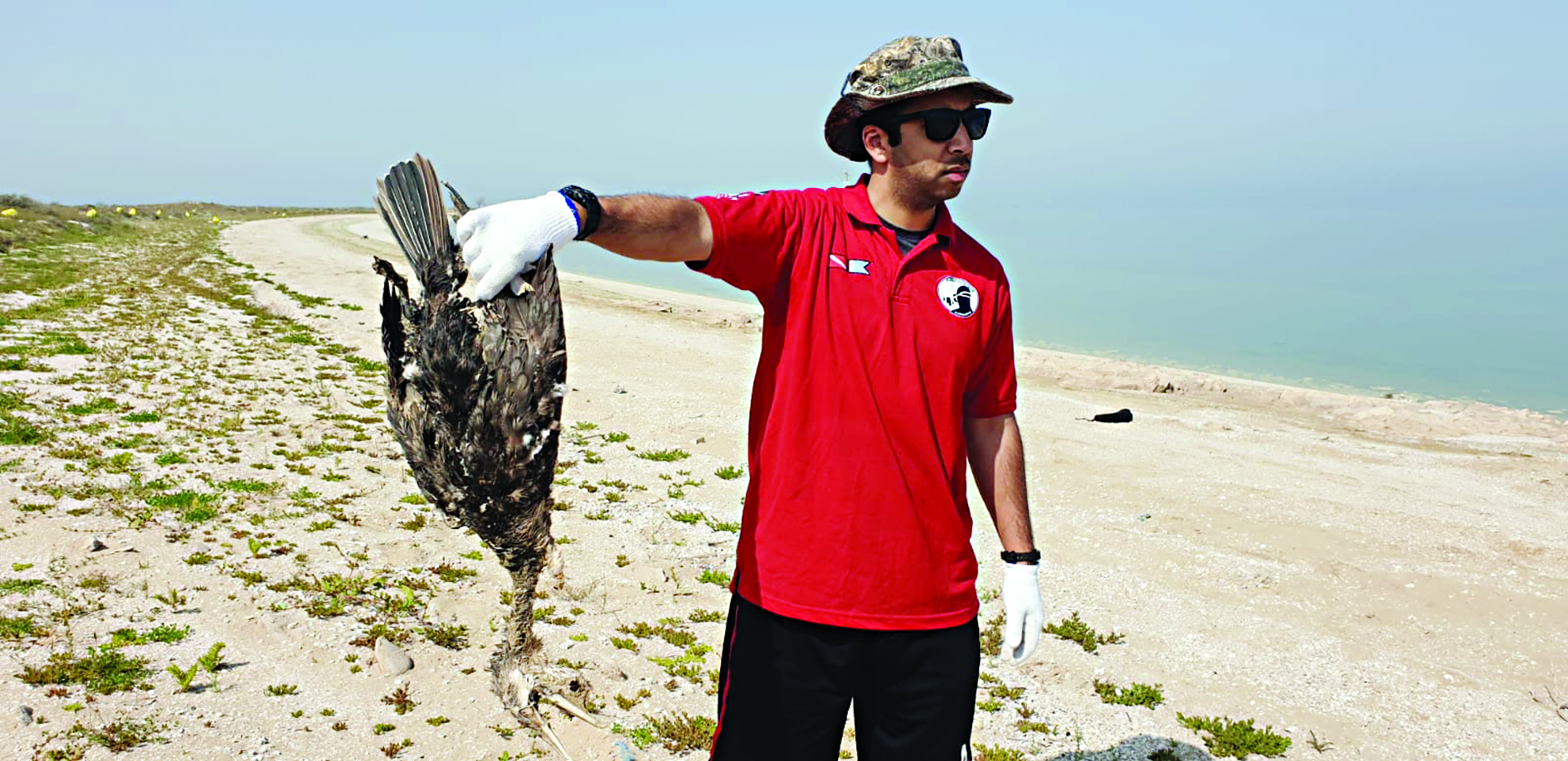 الفاضل يرفع أحد الطيور النافقة