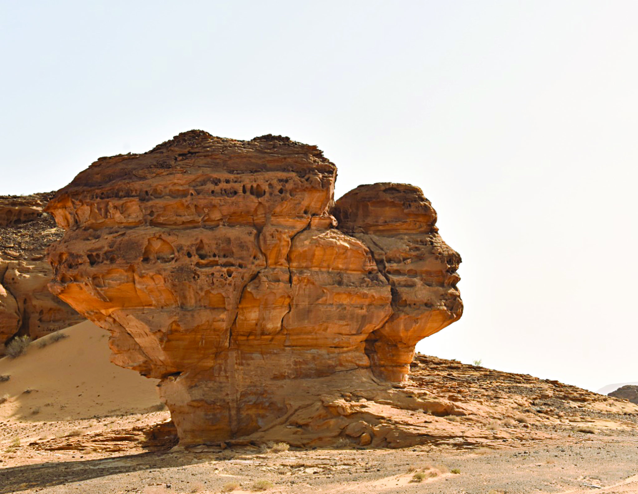 u062cu0628u0644 u0627u0644u0648u062cu0647 u0639u0644u0649 u0634u0643u0644 u0648u062cu0647 u0625u0646u0633u0627u0646 