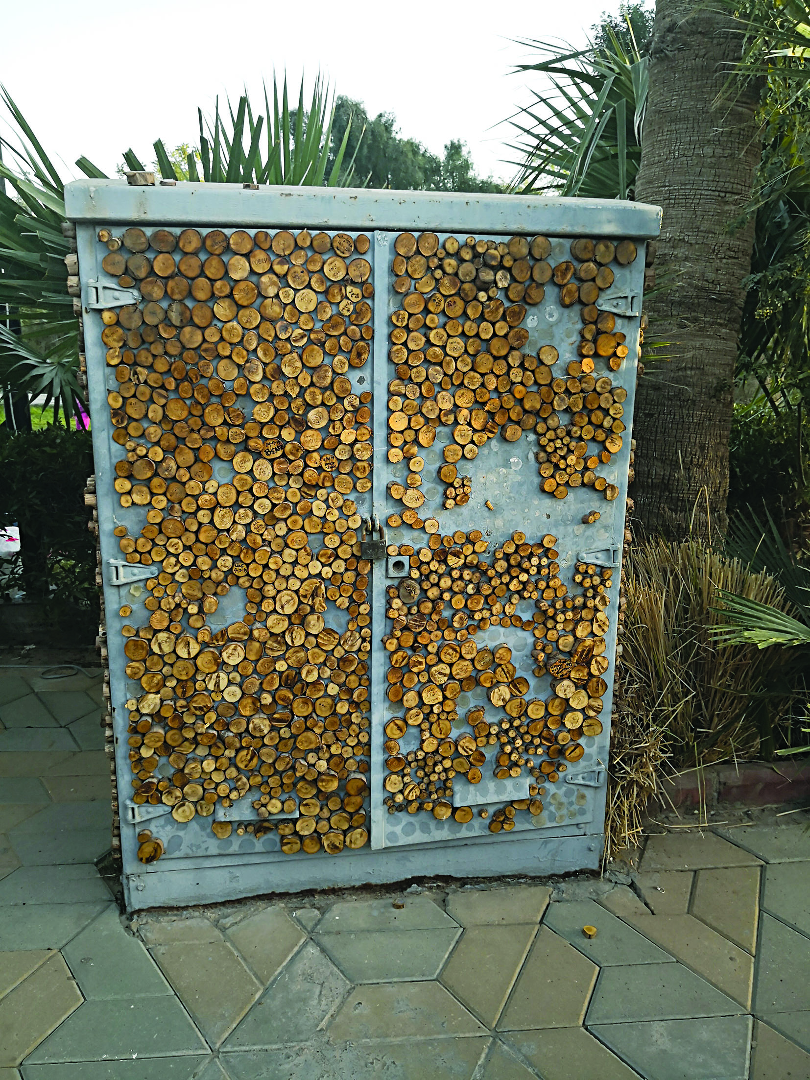 u0627u0644u0645u062du0648u0644 u062au062du0648u0651u0644 u0625u0644u0649 u0644u0648u062du0629 u0639u0634u0642 