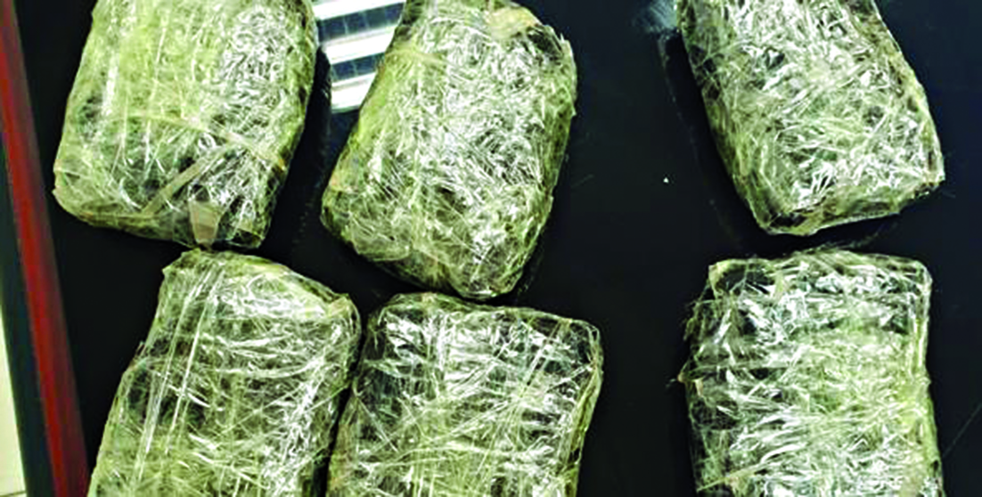 u062du0634u064au0634 u0627u0644u0647u0646u062fu064a 