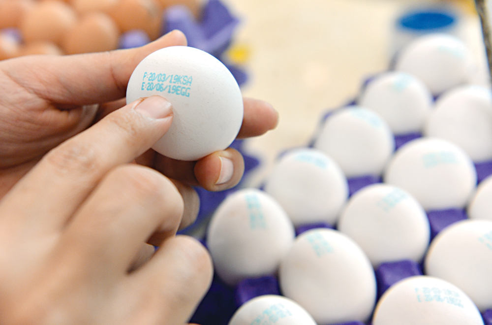 تأكد من صلاحية البيض