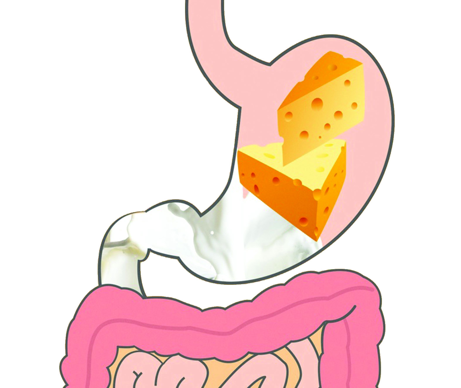 منتجات الألبان  (ساعتان)