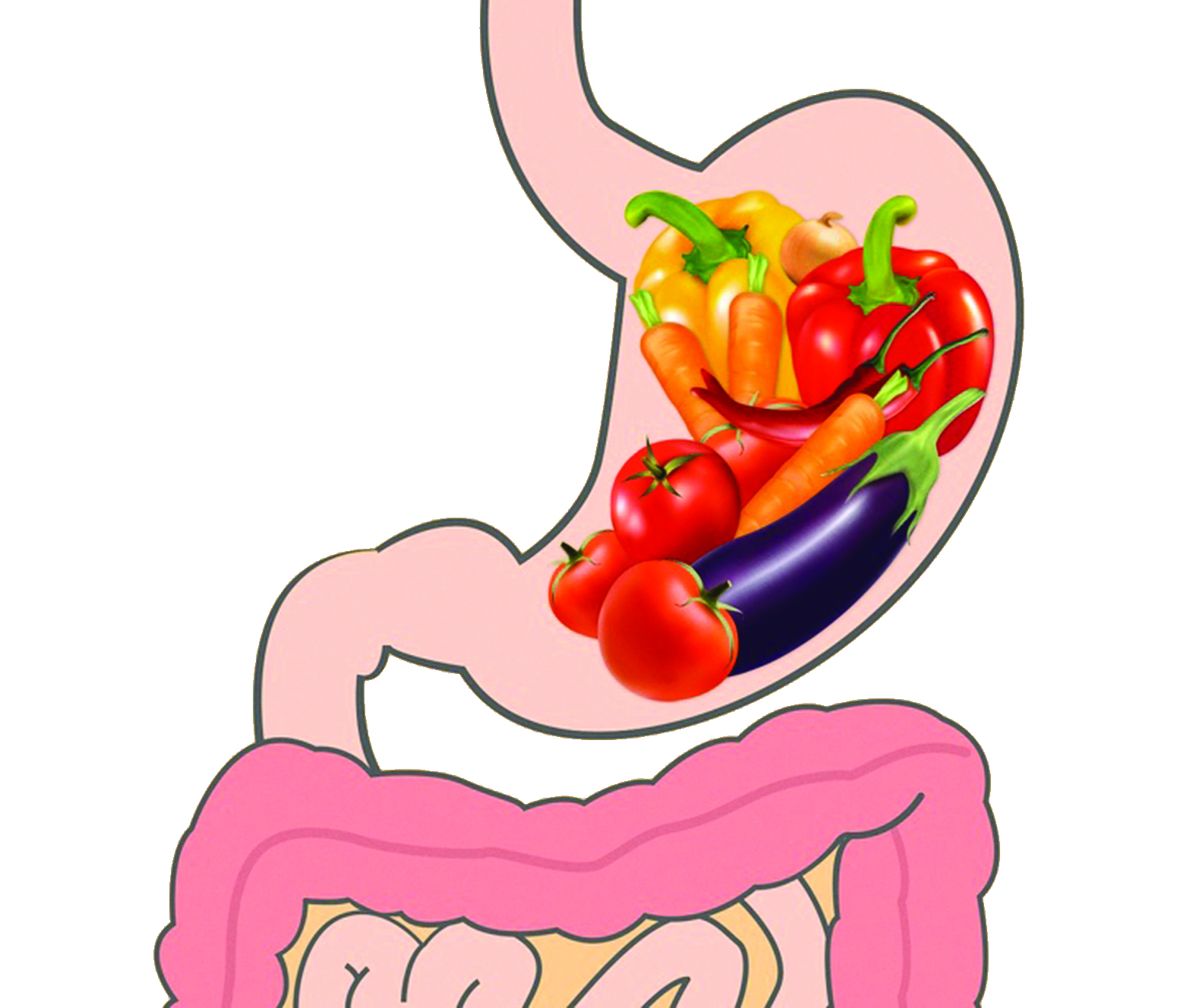 الخضراوات الخام  (من 30 إلى 40 دقيقة)