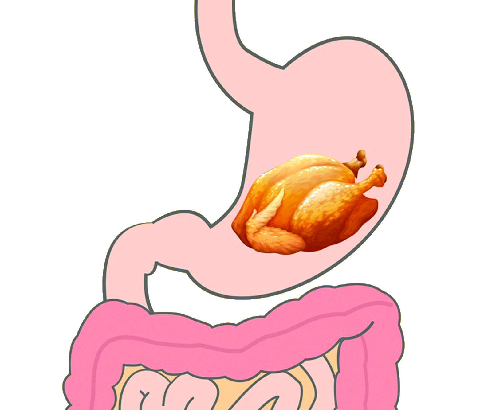 الدواجن   (ساعة ونصف إلى ساعتين)