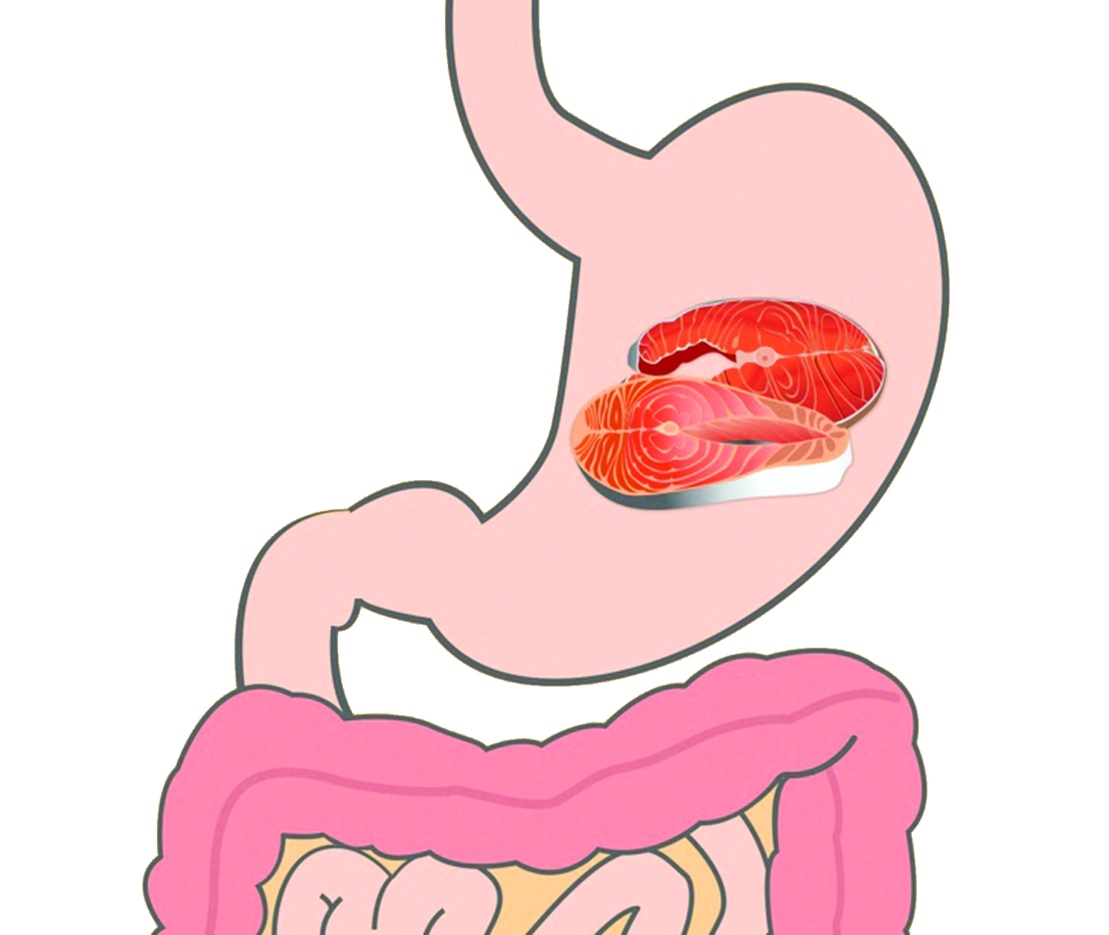  الأسماك  (من 45 إلى 60 دقيقة)