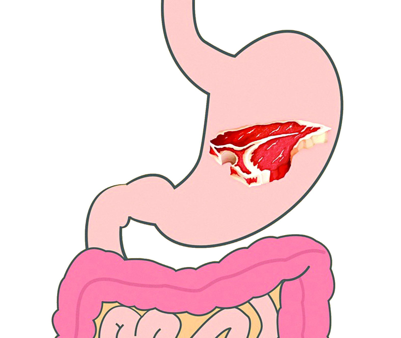 لحوم الأبقار   (3 ساعات)