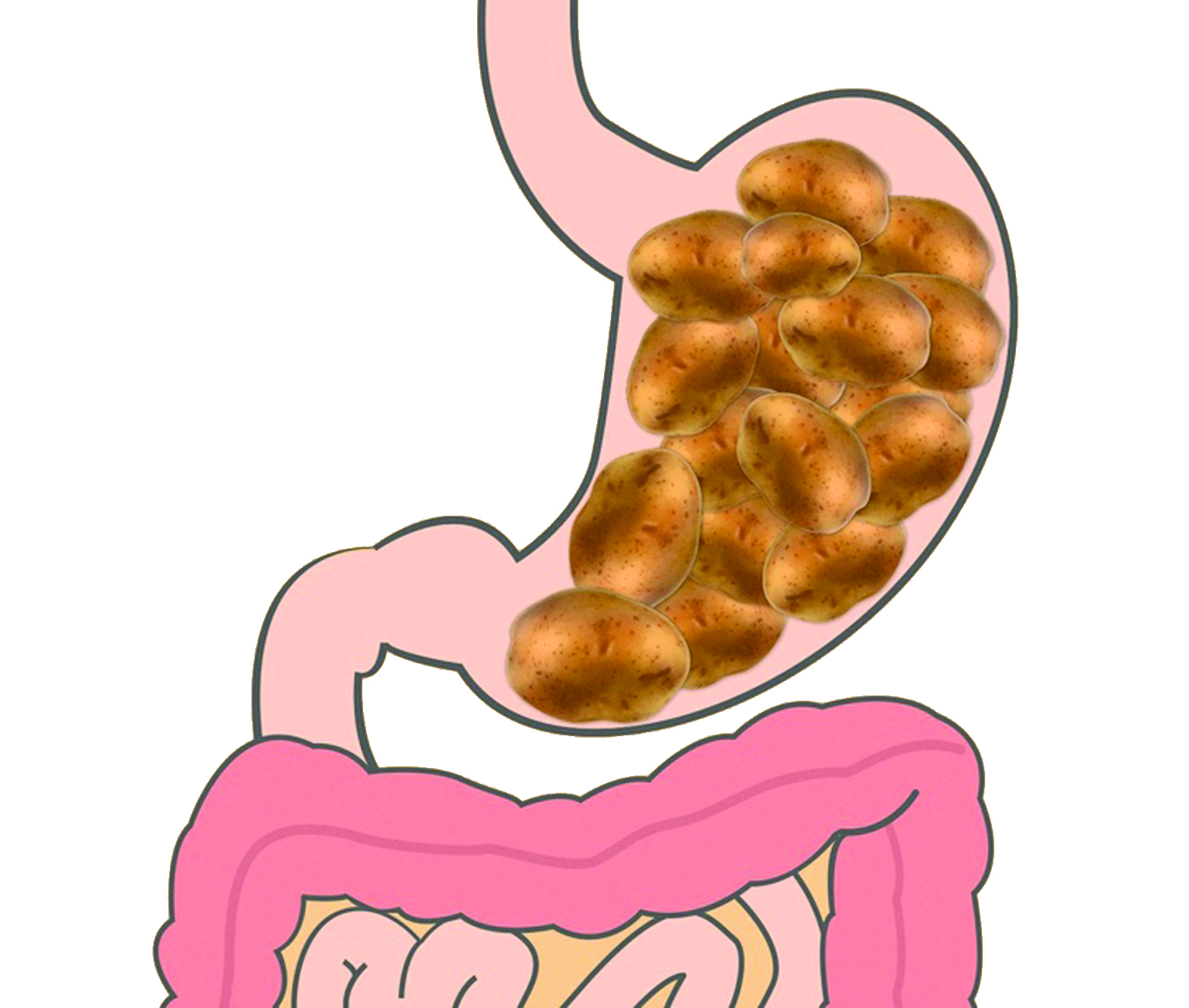 الخضراوات النشوية  (1.5 إلى ساعتين)