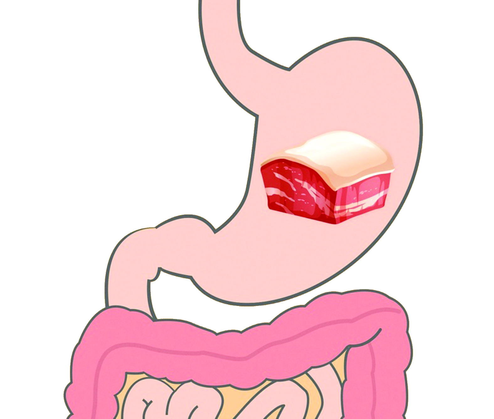 لحوم المواشي   (بين 4.5 و 5 ساعات)
