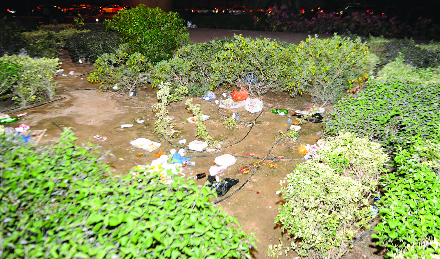 بقايا الطعام 