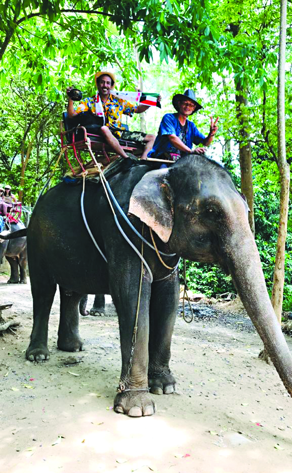 أبو سعد على ظهر الفيل في جزيرة كوساموي في تايلند 