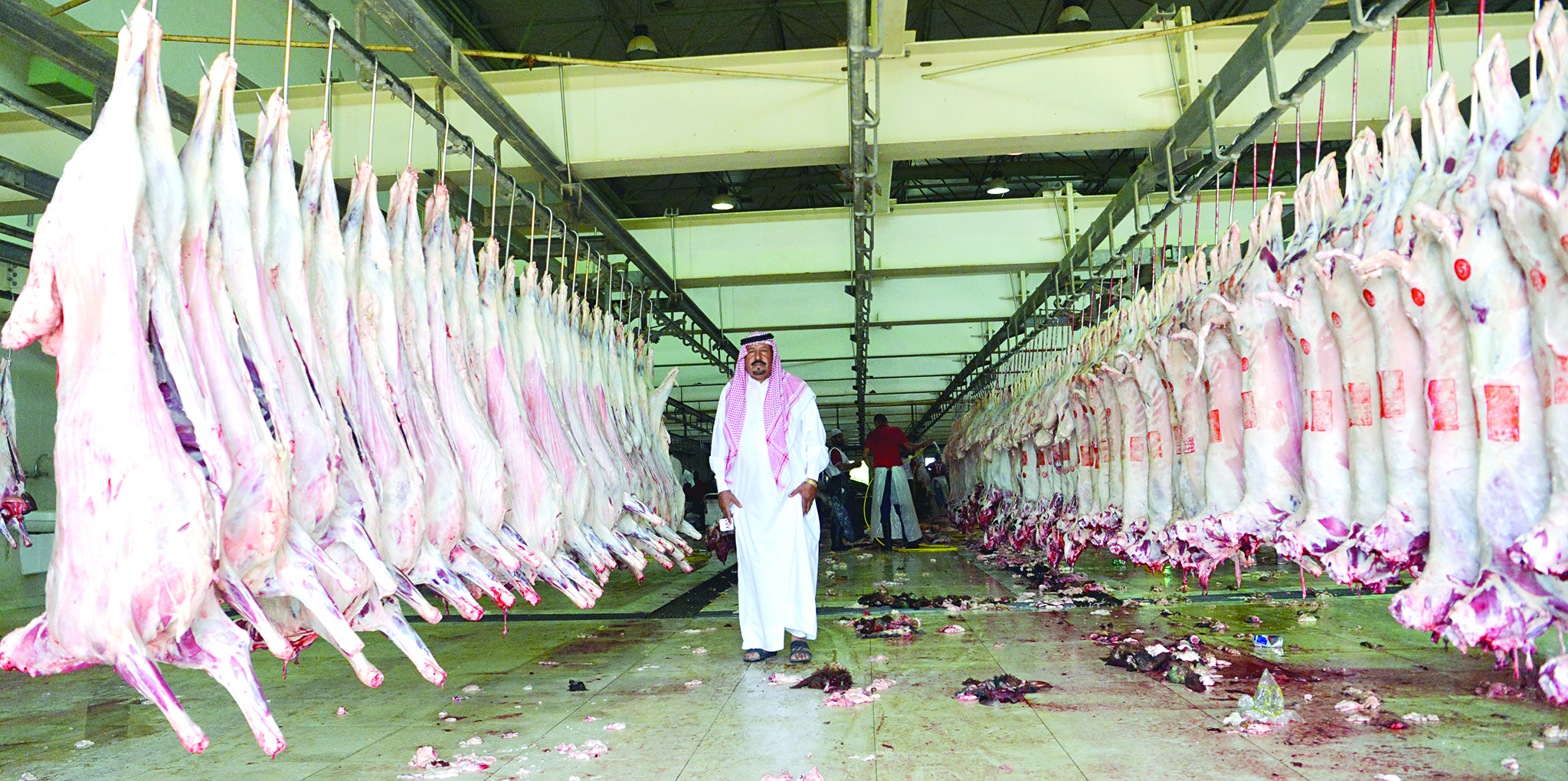 u0630u0628u0627u0626u062d u0641u064a u0627u0644u0645u0633u0644u062e u0627u0644u0645u0631u0643u0632u064a  t    (u062au0635u0648u064au0631 u0646u0627u064au0641 u0627u0644u0639u0642u0644u0629)