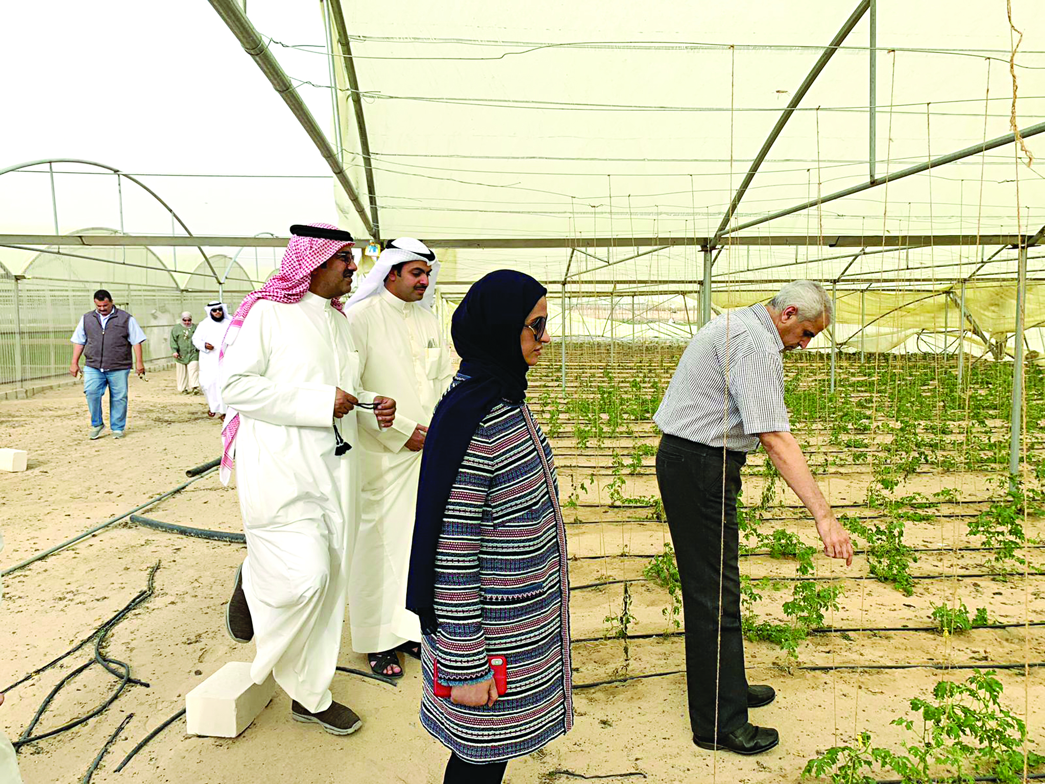 دلال رجب خلال زيارة مزارع الوفرة