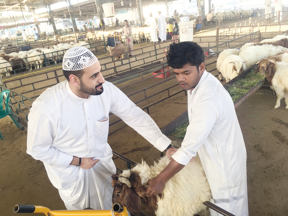 أحمد الفضلي يعاين ذبيحة قبل شرائها