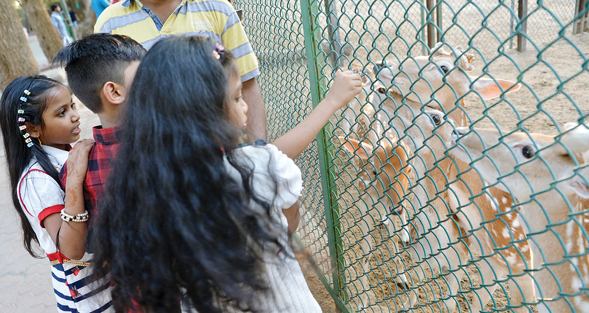 أطفال في حديقة الحيوان 	(تصوير نايف العقلة)