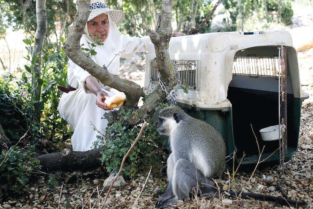 u00abu0637u0634u0637u0648u0634u00bb u0645u0639 u0635u0627u062du0628u062au0647