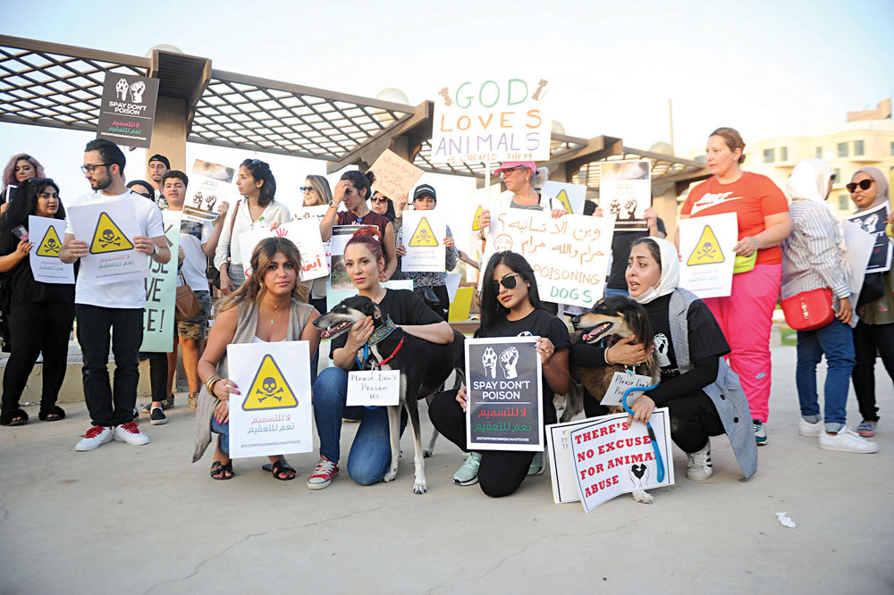 u0645u0646 u0648u0642u0641u0629 u0633u0627u062du0629 u0627u0644u0625u0631u0627u062fu0629 u0636u062f u062au0633u0645u064au0645 u0627u0644u0643u0644u0627u0628 t(u062au0635u0648u064au0631 u0628u0633u0627u0645 u0632u064au062fu0627u0646)