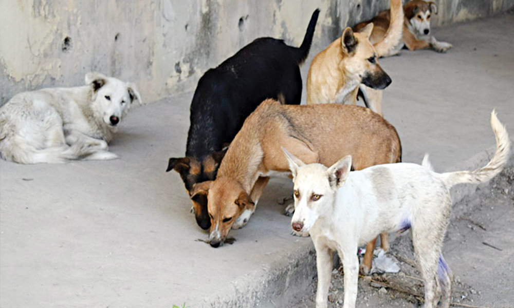 u0628u0639u0636 u0627u0644u0641u0631u0642 u062au062cu0645u0639 u0627u0644u062au0628u0631u0639u0627u062a u0645u0646 u062fu0648u0646 u0631u0642u0627u0628u0629 