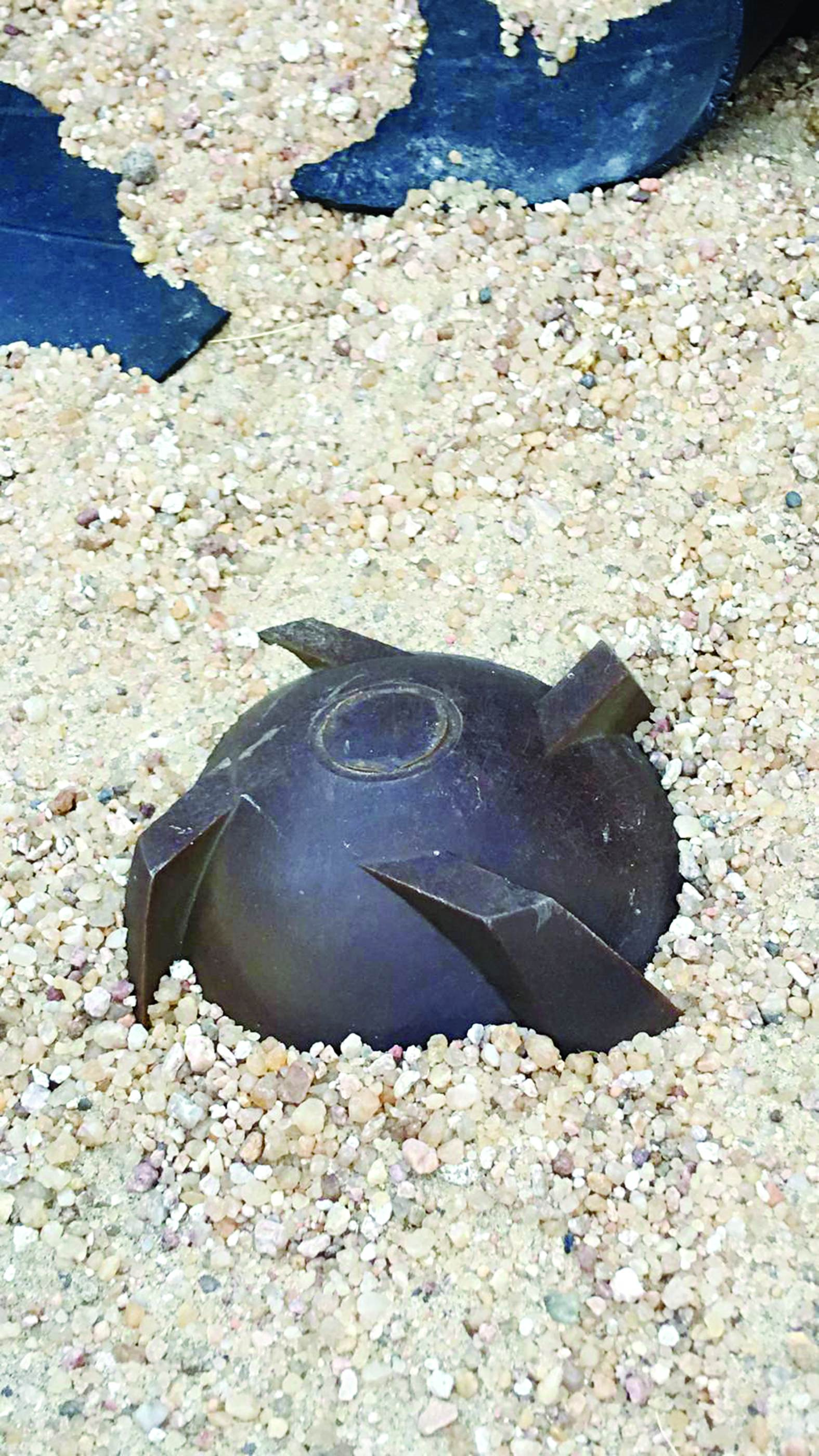 u0642u0646u0628u0644u0629 u0639u0646u0642u0648u062fu064au0629 u062au0628u062du062b u0639u0646 u0636u062du064au0629