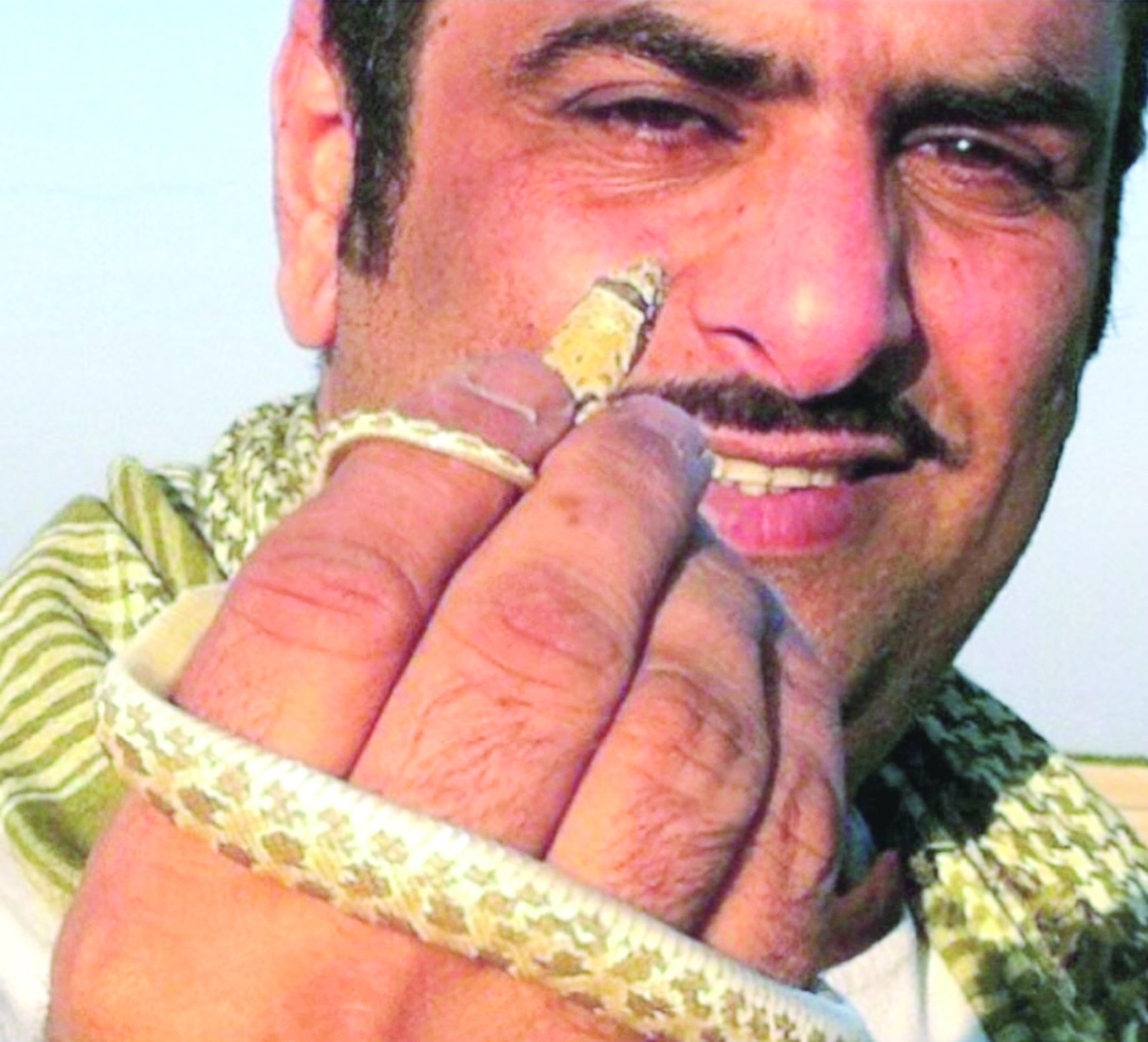 عودة البذالي يحمل إحدى الأفاعي الصغيرة