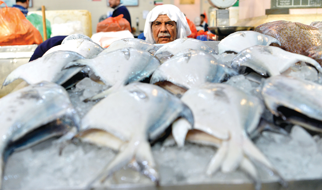 u0633u0645u0643 u0627u0644u0632u0628u064au062fu064a u0627u0644u0645u062du0644u064a u0627u062du062au0644 u0628u0633u0637u0627u062a u0627u0644u0633u0648u0642 u0623u0645u0633   t      (u062au0635u0648u064au0631 u0646u0627u064au0641 u0627u0644u0639u0642u0644u0629) 