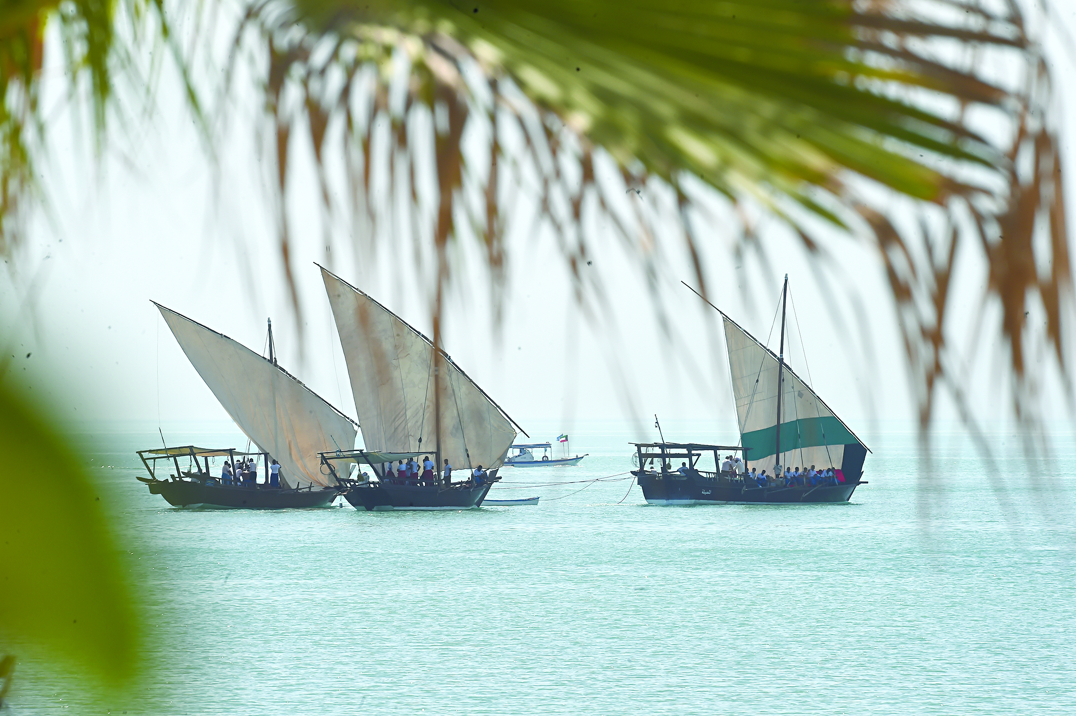 u0625u0628u062du0627u0631 u0627u0644u0633u0641u0646 u0625u0644u0649 u0647u064au0631u0627u062a u0627u0644u062eu064au0631u0627u0646                                                         t                   (u062au0635u0648u064au0631 u0623u0633u0639u062f u0639u0628u062fu0627u0644u0644u0647)