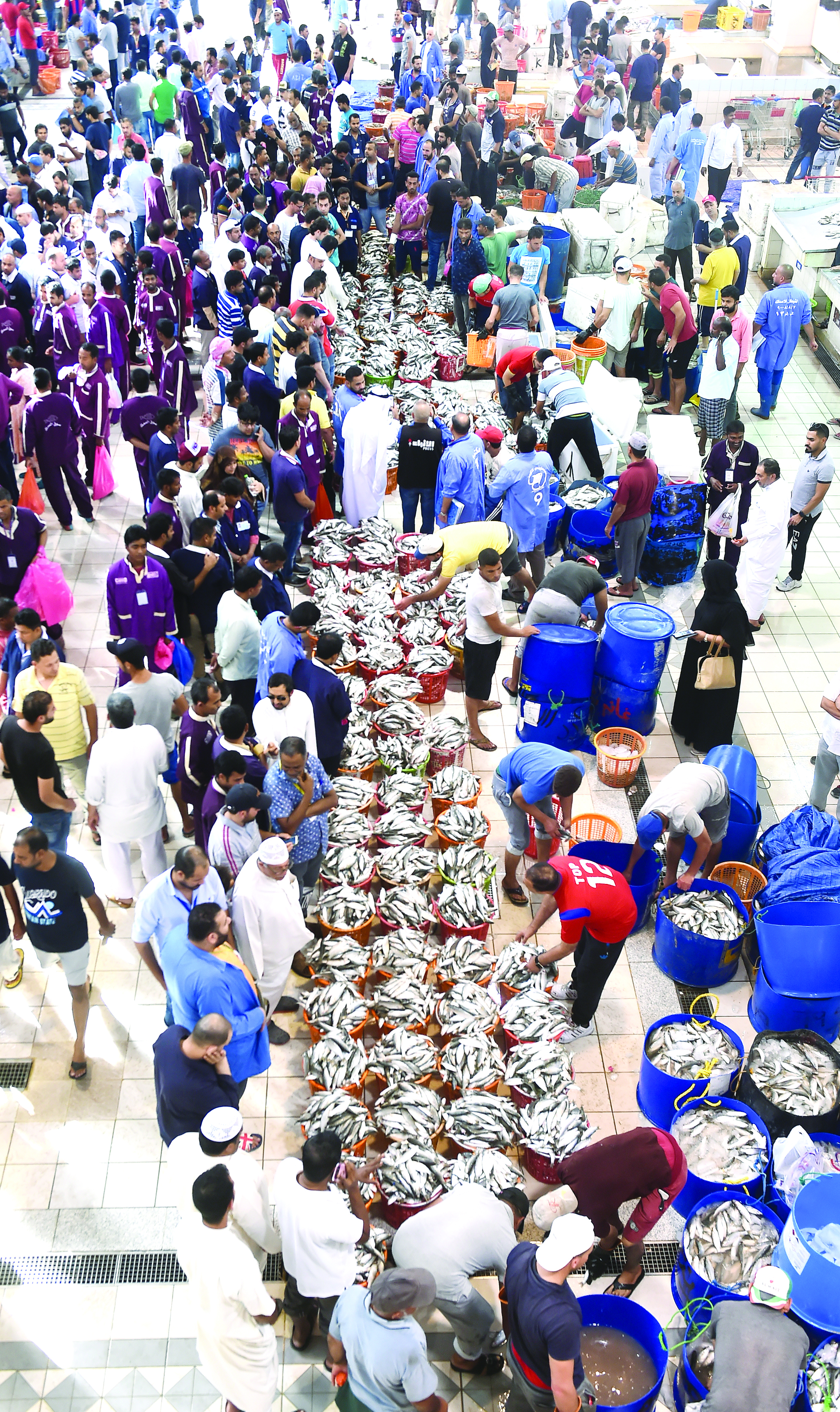 u0633u0644u0627u0644 u0633u0645u0643 u0627u0644u0645u064au062f u0645u0644u0623u062a u0627u0644u0633u0648u0642 u0641u064a u0623u0648u0644 u0623u064au0627u0645 u0635u064au062fu0647      t (u062au0635u0648u064au0631 u0623u0633u0639u062f u0639u0628u062fu0627u0644u0644u0647)