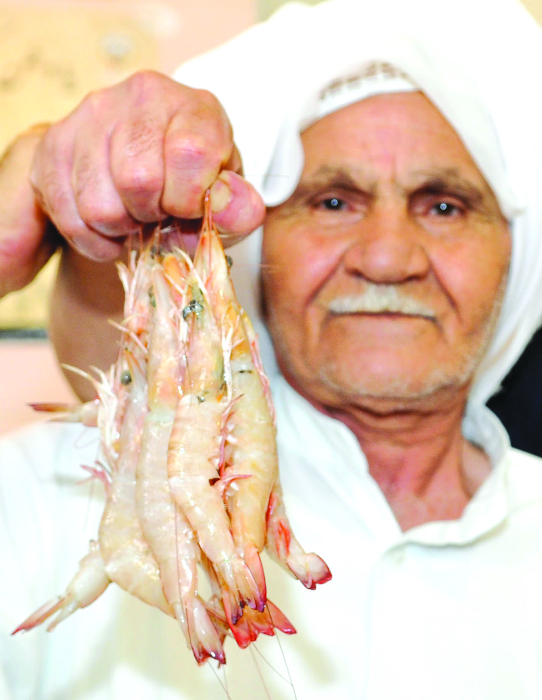 روبيان جامبو