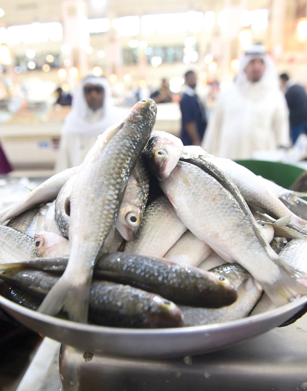 سعر الميد يشهد ارتفاعا غير طبيعي    	 	 (تصوير أسعد عبدالله)