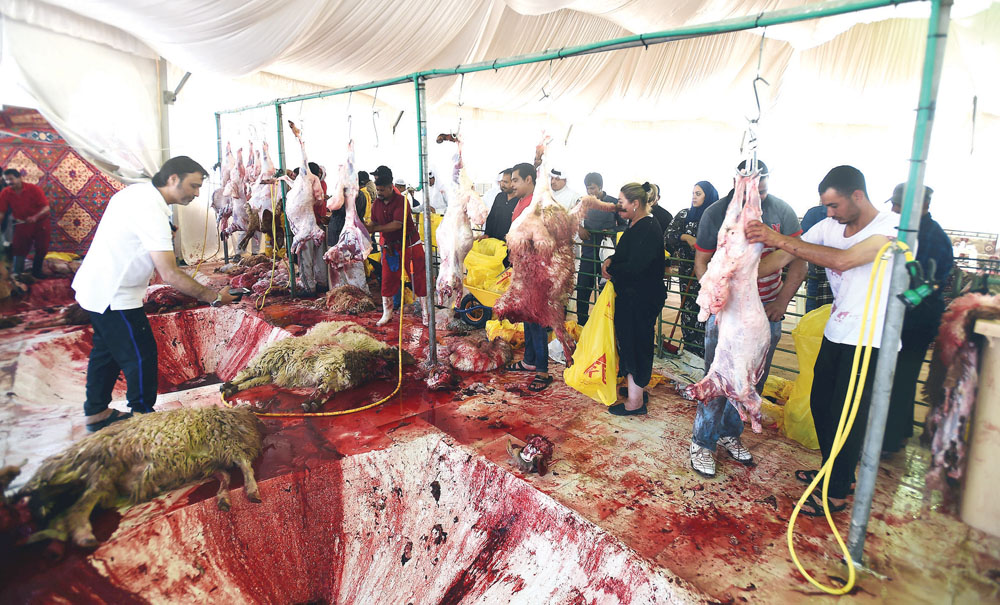 عمليات الذبح في مسلخ سلوى	 (تصوير أسعد عبدالله)