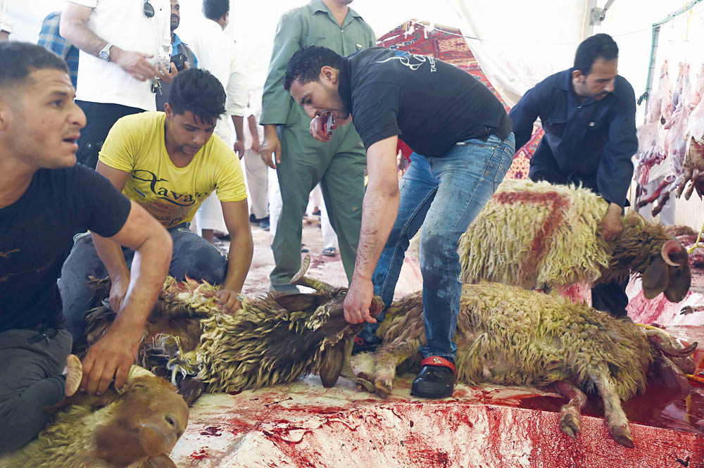 ذبح الأضاحي