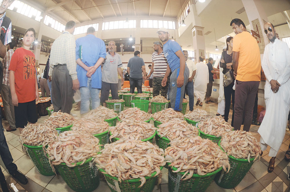 u0627u0644u0631u0648u0628u064au0627u0646 u0637u063au0649 u0639u0644u0649 u0645u062du0635u0648u0644 u0635u064au062f u0623u0645u0633t(u062au0635u0648u064au0631 u0628u0633u0627u0645 u0632u064au062fu0627u0646)