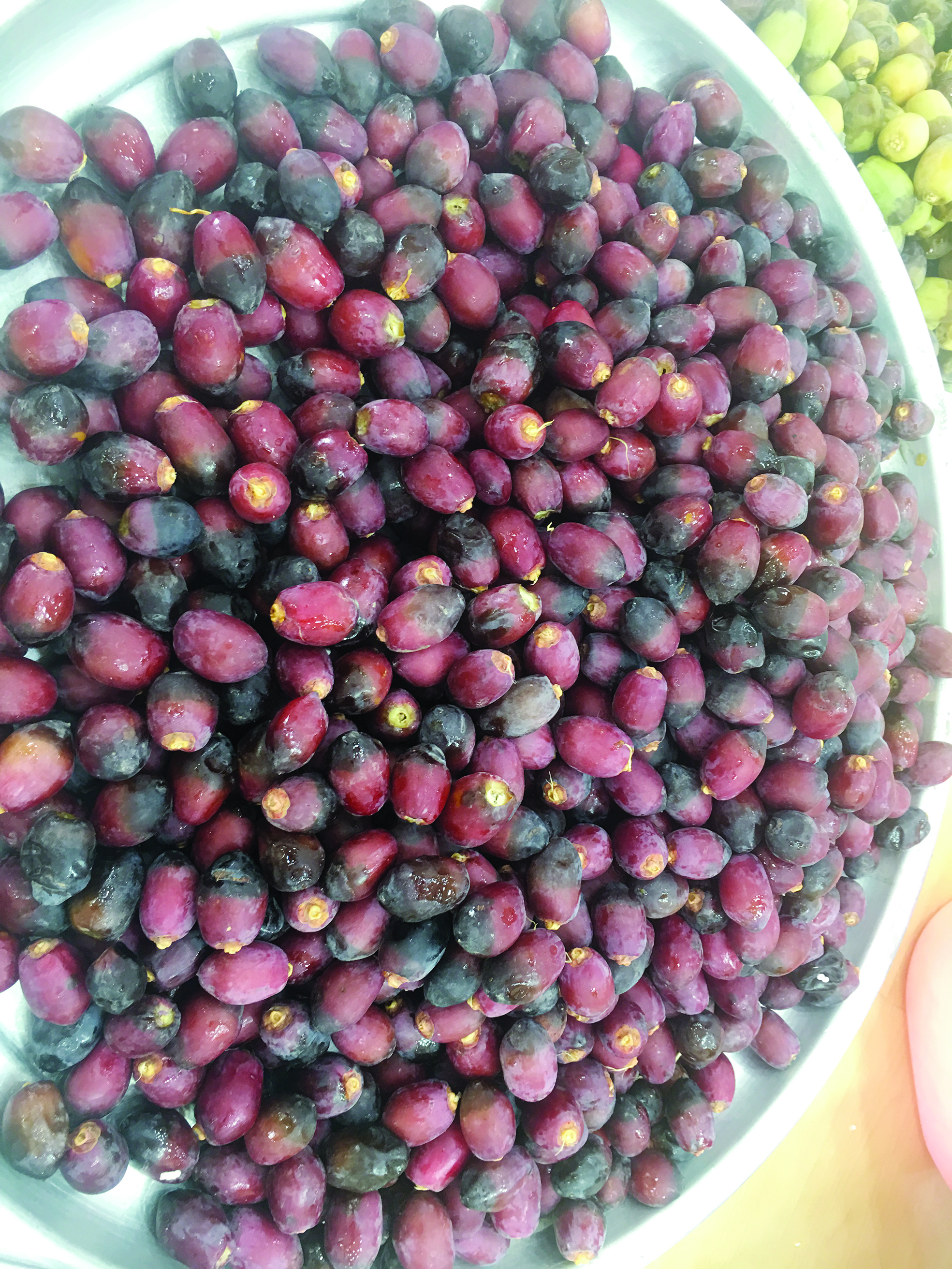 رطب الخنيزي