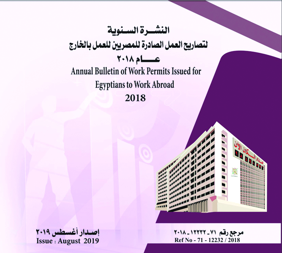 غلاف تقرير إدارة الإحصاء المصرية