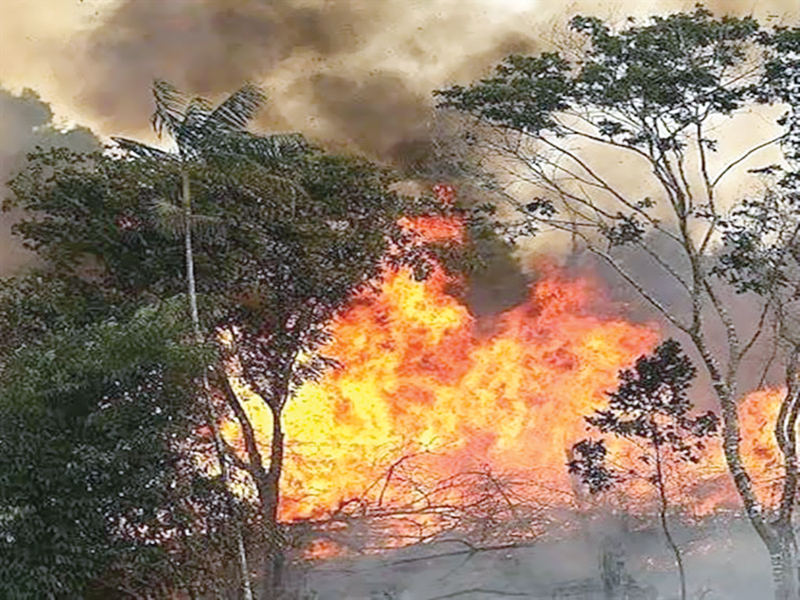 u0647u0644 u062au0624u062bu0631 u062du0631u0627u0626u0642 u0627u0644u0623u0645u0627u0632u0648u0646 u0639u0644u0649 u0623u0648u0643u0633u062cu064au0646 u0627u0644u0643u0648u064au062au061f 