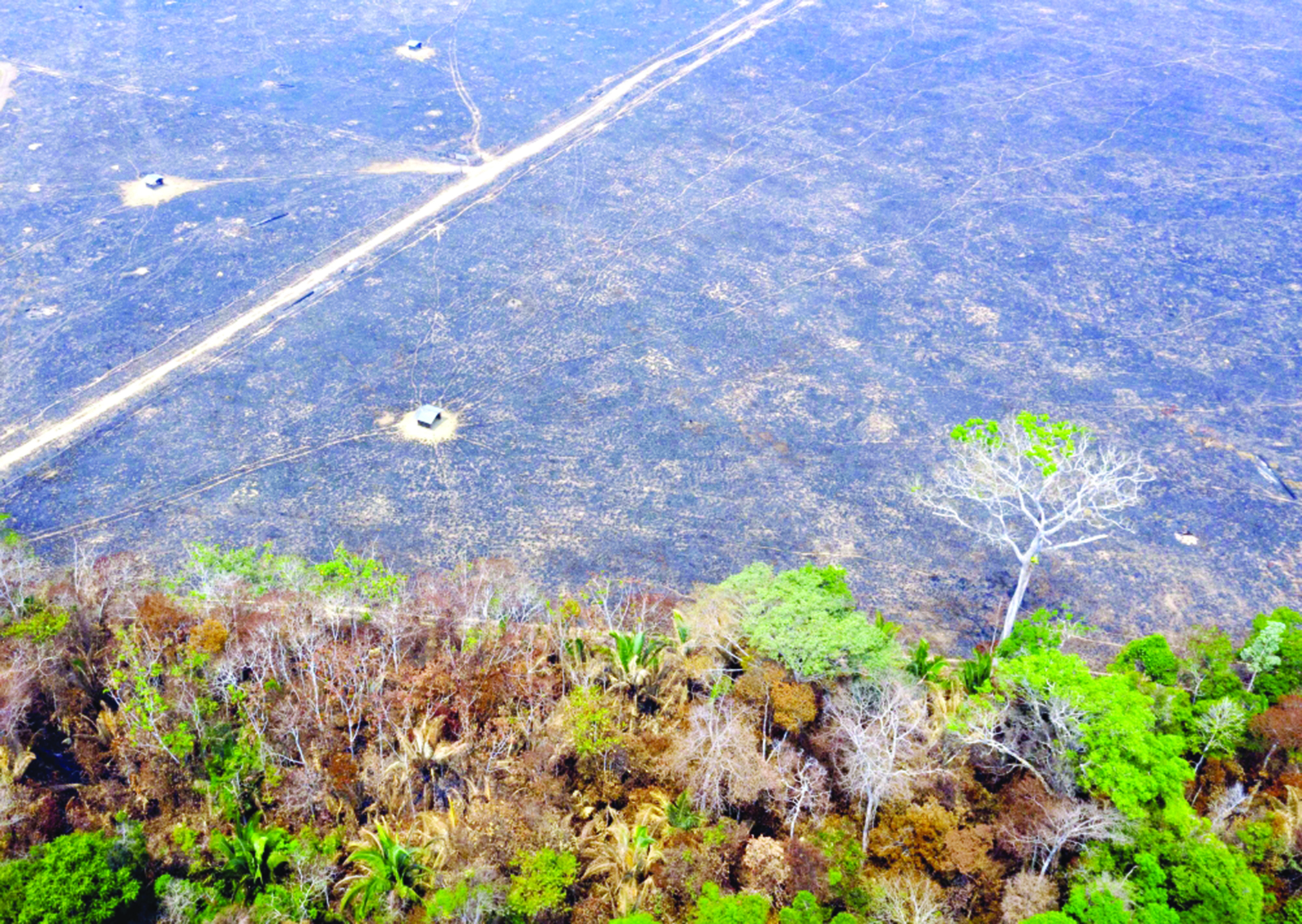 u0635u0648u0631u0629 u062cu0648u064au0629 u0644u0645u0627 u062au062eu0644u0641u0647 u062du0631u0627u0626u0642 u063au0627u0628u0627u062a u0627u0644u0623u0645u0627u0632u0648u0646 (u0623 u0641 u0628)