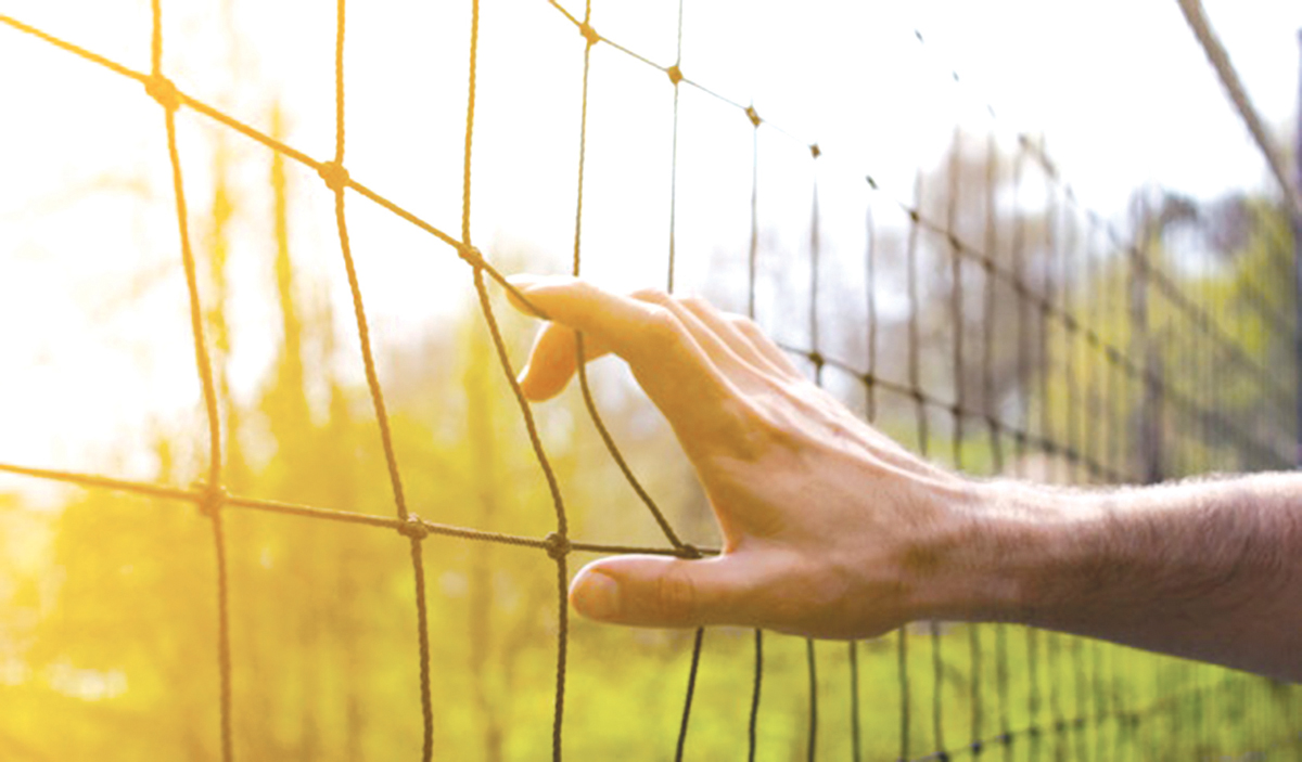 u0645u0646 u0647u064a u00abu0627u0644u064au062f u0627u0644u062eu0641u064au0629u00bb u0627u0644u062au064a u0627u0645u062au062fu062a u0644u0645u062eu0635u0635u0627u062a u0645u0646u062au062eu0628 u0627u0644u0643u0631u0629 u0627u0644u0637u0627u0626u0631u0629u061f