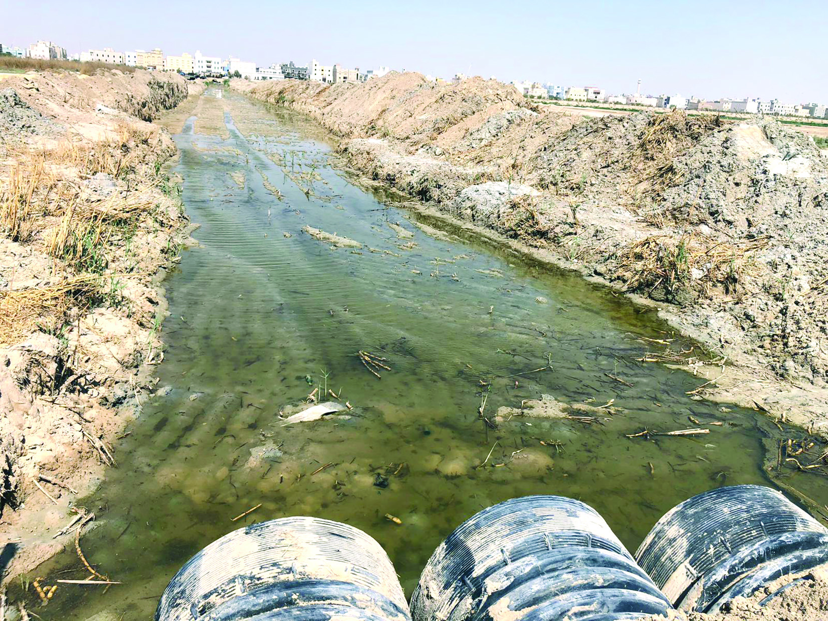 u0642u0627u0637u0646u0648 u0645u062fu064au0646u0629 u0635u0628u0627u062d u0627u0644u0623u062du0645u062f u064au0634u062au0643u0648u0646 u0645u0646 u0645u064au0627u0647 u0627u0644u0645u062cu0627u0631u064a u0627u0644u0645u0639u0627u0644u062cu0629 