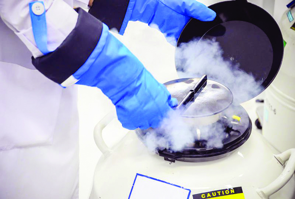  تقنيات عملية التجميد تطورت 