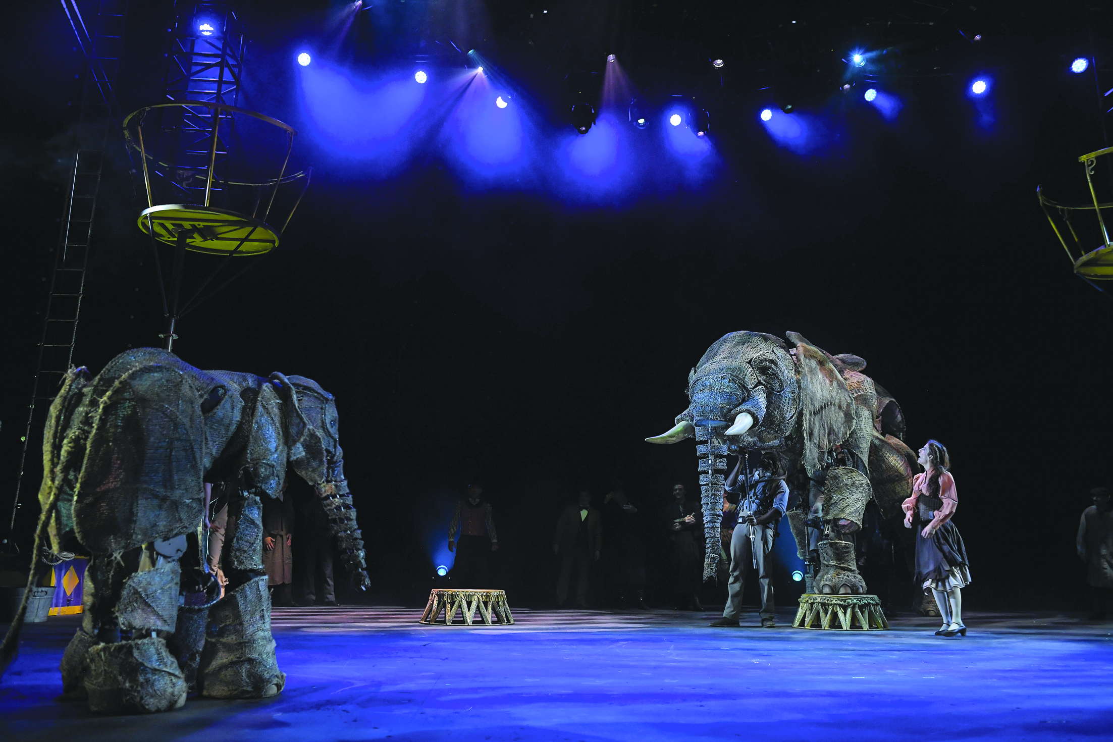 u0645u0634u0647u062f u0645u0646 u0641u0642u0631u0629 u062fu0645u064au0629 u0627u0644u0641u064au0644 u0627u0644u0623u0641u0631u064au0642u064a u0627u0644u0643u0628u064au0631 