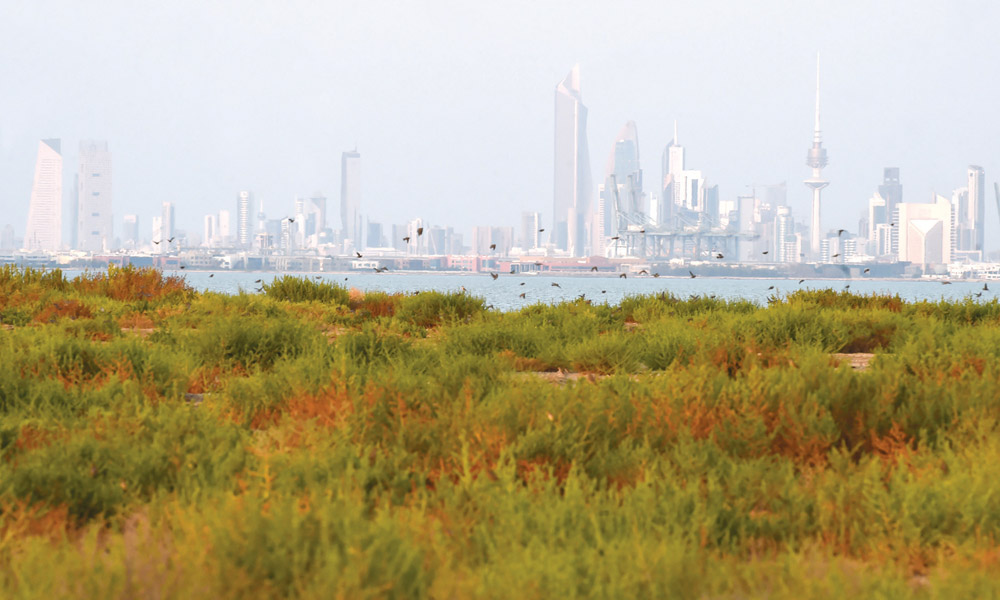 u0627u0644u0637u064au0648u0631 u062au062du0644u0651u0642 u0628u0623u0645u0627u0646 u0639u0644u0649 u0633u0627u062du0644 u0627u0644u0635u0644u064au0628u062eu0627u062a 