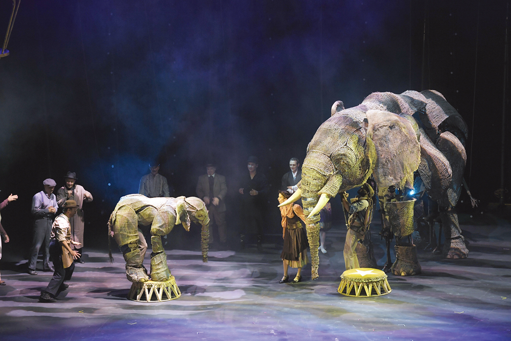 فقرة الفيل الأفريقي... الدمية